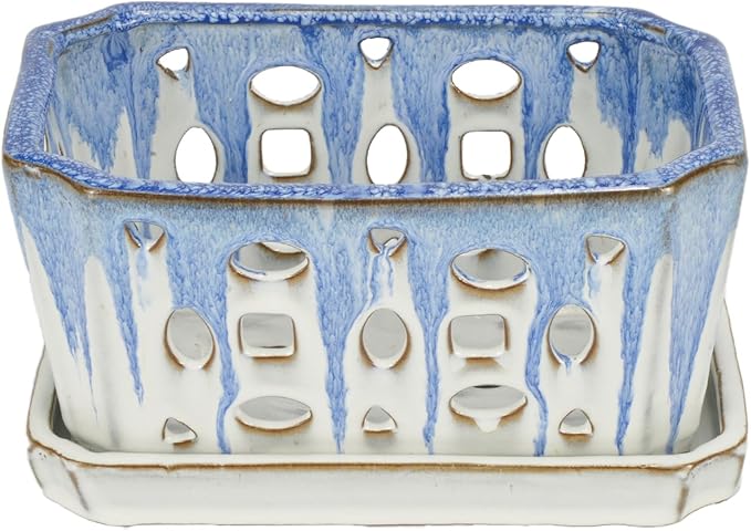 W&W Orchid Pot with Holes, Garden Pot for Orchid, Plant and Flower Pots Indoor Outdoor,Blue and White,9 Inches