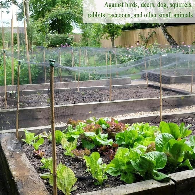 Woven Bird Netting 25X25 FT, 1/2" Mesh, Strong Bird Net Protect Fruit Trees, Blueberry, Vegetables, Strawberry Plants, Garden Netting Pest Barrier, Against Deer, Squirres, Small Critters