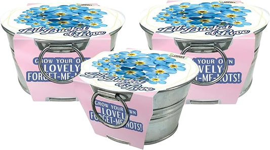 Grow Your Own Forget-Me-Not Plant Seeds 3-Pack, DIY Indoor Succulents and Live Plants for Home or Garden Planting, Lil Bucket of Love