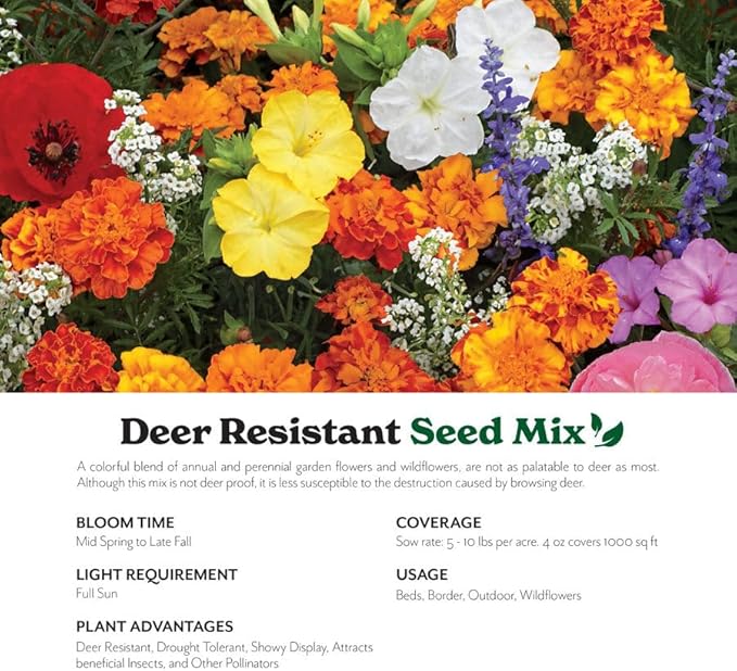 Grow Your Own Vibrant Annual and Perennial Wildflower Garden Seed Mixture, Varieties for Pollinators and Spring Gardens - Deer Resistant Mix, 25 lbs