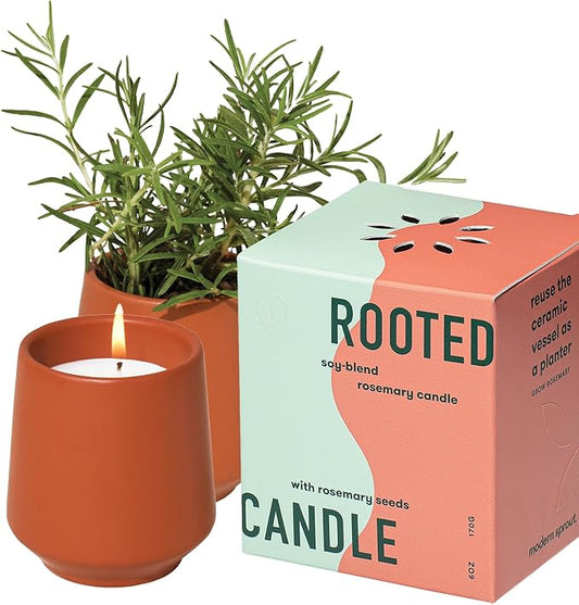 Modern Sprout Rooted Candle - 2 in 1 Cucumber Scented & Soy Candle with Seeds That Grows into Rosemary Plant - 6 oz w/ 42 Hr Burn Time in Matte Glaze Ceramic Vessel Ideal for Indoor Herb Garden