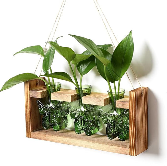 Glass Plant Propagation Station Butterfly Planter Vase with Wooden Stand Birthday Gifts for Women Mom Plant Lovers Office Home Decoration