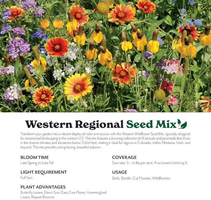 Grow Your Own Vibrant Annual and Perennial Wildflower Garden Seeds Mixture, Varieties for Pollinators and Spring Gardens - Western Regional Mix, 1/4 lb