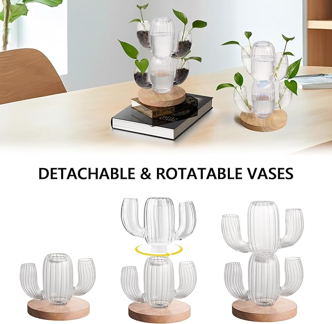 Lighted Plant Propagation Station with LED RGB Lights, 2 Glass Cactus Vases, Oak Wooden Base, Physical Push Button Control with USB Cables, Unique Gift for Plant Lovers