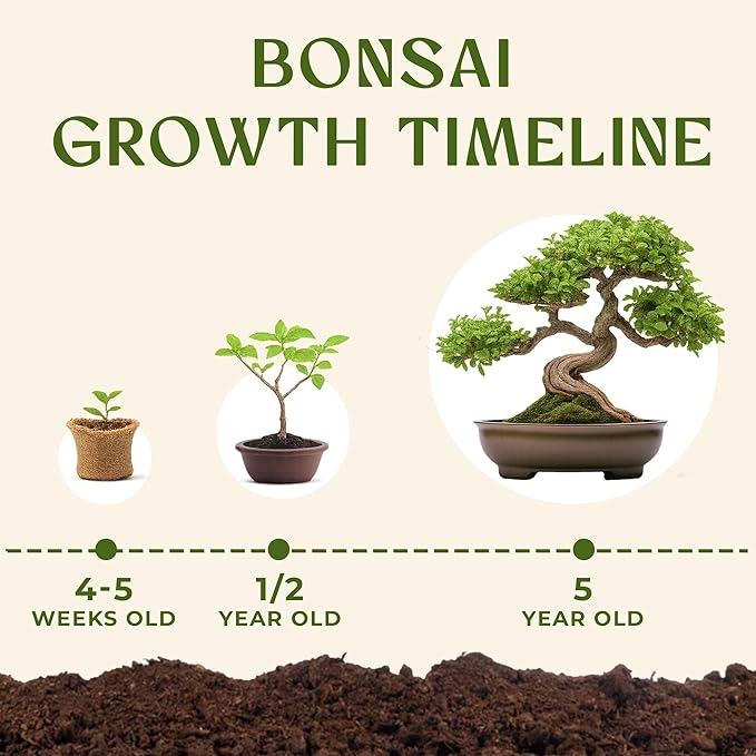 DIY Bonsai Tree Kit for Beginners – 5X Unique Japanese Bonzai Trees | Complete Indoor Bonsai Starter Kit for Growing Bonsai Plants with Tools & Planters – DIY Gardening Gifts for Women & Men