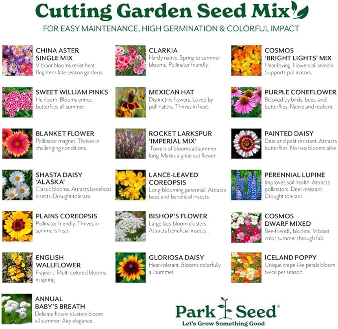 Park Seed Grow Your Own Vibrant Annual and Perennial Wildflower Garden Seeds Mixture, Easy to Grow Varieties for Pollinators and Spring Gardens - Cutting Garden Mix, 1/4 lb