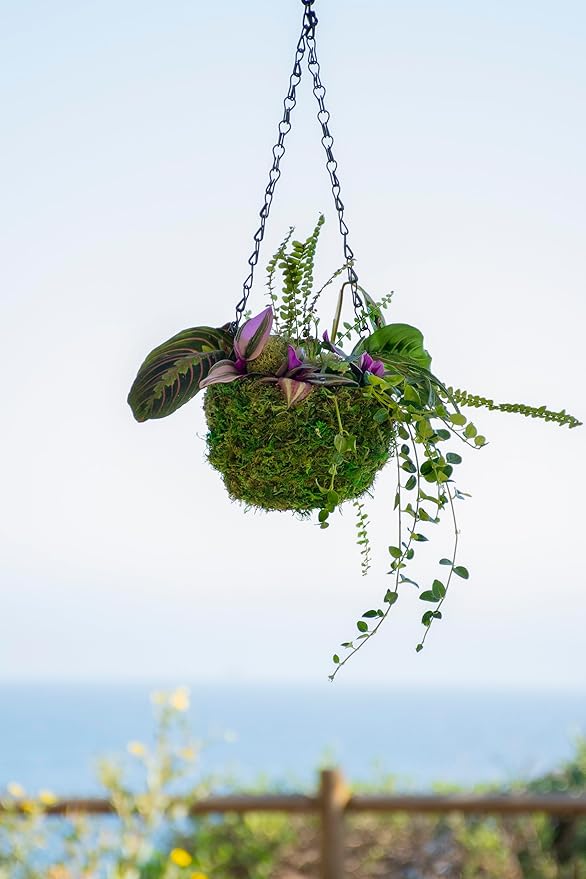 SuperMoss MossWeave (29270) Mini Hanging Basket Set of 4, Fresh Green