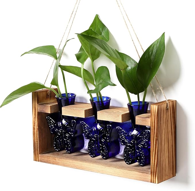 Glass Plant Propagation Station Butterfly Planter Vase with Wooden Stand Birthday Gifts for Women Mom Plant Lovers Office Home Decoration