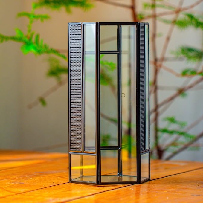 NCYP Small Glass Enclosure Terrarium with Mesh and Door for Jumping Spiders, Insects - Hexagon Shape Succulents Terrarium 4.9'' x 3.9'' x 9.4'', Tabletop Decor, Black (Plants Not Include)