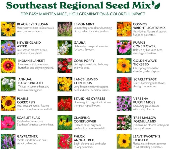 Grow Your Own Vibrant Annual and Perennial Wildflower Garden Seeds Mixture, Varieties for Pollinators and Spring Gardens - Southeast Regional Mix, 5 lbs