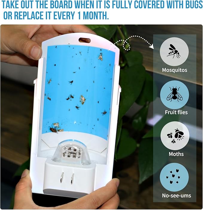 Fruit Fly Traps for Indoors, Plug in Flying Insect Trap for Gnats, Fruit Flies, Moths | UV Light Fly Trap for Home, Office | Mess-Free Adhesive Disposal