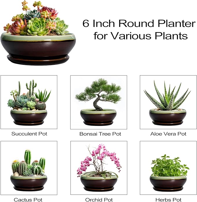 SQOWL Succulent Pots 6 Inch - Shallow Ceramic Planter, Bonsai Pot with Drainage Hole and Saucer, Round Ceramic Succulent Planter for Indoor Outdoor Plant, Kitchen Decor, Plant Lover Gift, Green-Brown