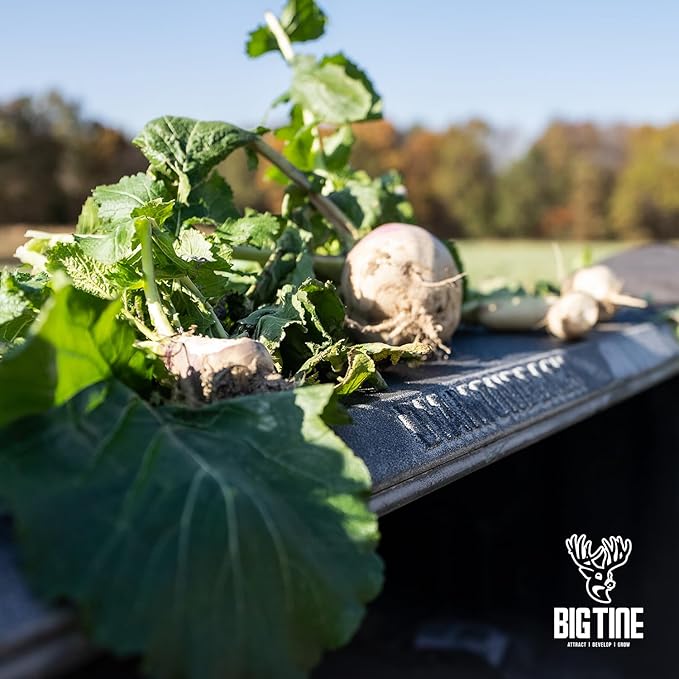 Big Tine Food Plot Mix, Deer Attractant, Advantage Turnips, 3 lbs Bag, Fall/Winter Annual, Extremely Versatile, Drought Resistant