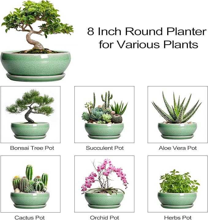 SQOWL Bonsai Planter - 8 Inch Ceramic Succulent Planters for Indoor Plants Outdoor, Shallow Round Planter with Drainage Hole and Saucer, Ceramic Bowl Planters, Home Decor, Birthday Gifts, Green