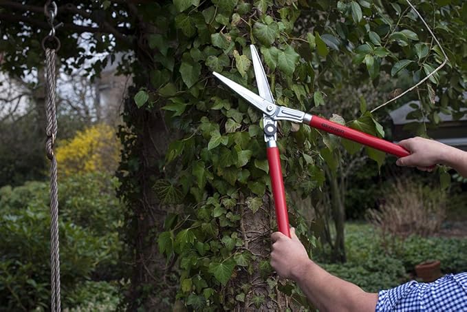 BERGER Topiary Shear 2520 with Beech Wood Handle Garden Shear with self-Sharpening Blades, Length 60 cm
