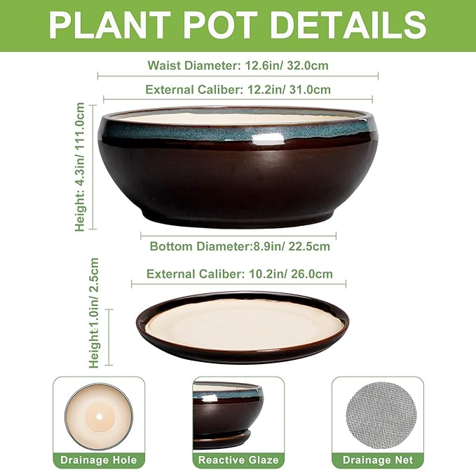 SQOWL Bonsai Planter 12 Inch - Ceramic Succulent Pots Large, Round Shallow Plant Pots Indoor with Drainage Hole and Saucer, Bowl Planter Outdoor for Flower, Room Decor, Housewarming Gifts, Blue-Brown