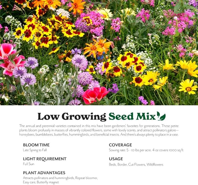 Grow Your Own Vibrant Annual and Perennial Wildflower Garden Seeds Mixture, Varieties for Pollinators and Spring Gardens - Low Growing Mix, 1/4 lb