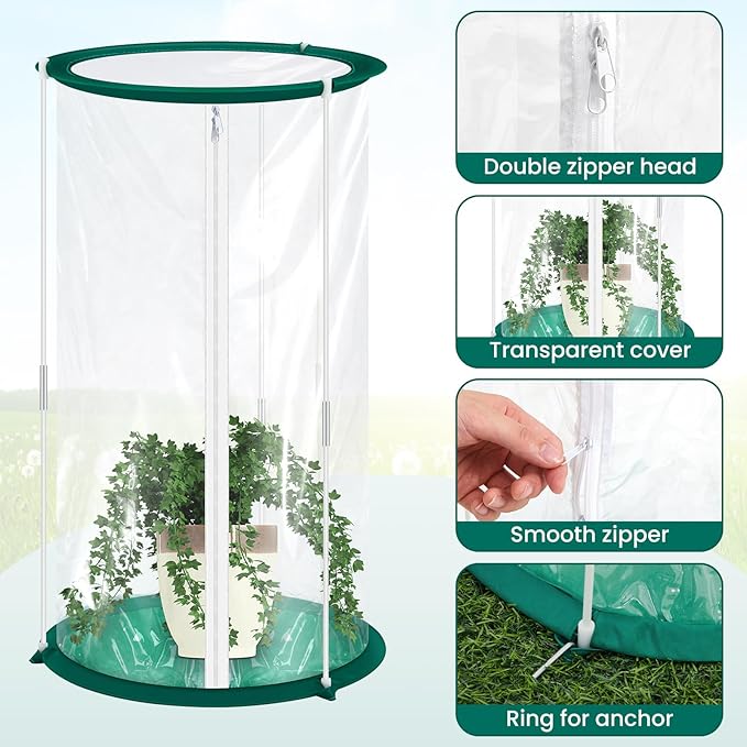 Nuanchu 1 Piece Mini Greenhouse 19.7 x 10.2 Inch Portable Plant Flowers Mini Cover PVC Clear Greenhouse for Indoor Outdoor Gardening