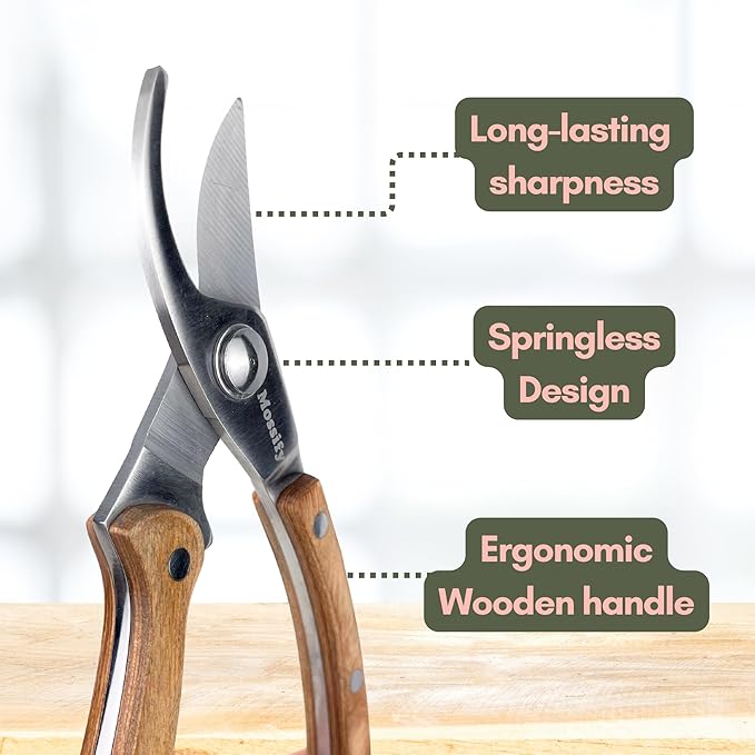 Mossify Garden Shears 8” – Premium Stainless Steel Pruning Shears for Gardening with Wooden Handle – Hand Pruners, Plant Clippers & Garden Scissors – Sharp Garden Tool for Left & Right Hand Use