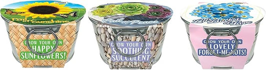 Flowering Tin Plant Seeds 3 Variety Pack, DIY Indoor Succulents and Live Plants for Home or Garden Planting, Assorted Tin Pack