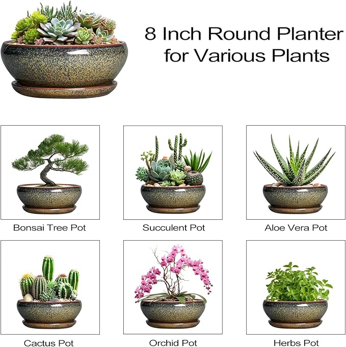 SQOWL Succulent Pots - 8 Inch Ceramic Bonsai Pots, Round Shallow Planter with Drainage Hole and Saucer, Succulent Indoor Planter, Bowl Planters Outdoor, Apartment Decor, Gifts for Women, Brown