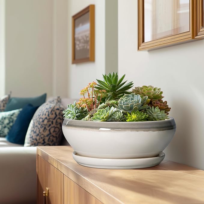 SQOWL Large Succulent Planters - 12 Inch Ceramic Bonsai Pots with Drainage Hole and Saucer, Shallow Round Planter for Indoor Plants, Bowl Planter Outdoor, Living Room Decor, Birthday Gift, Gray-Beige