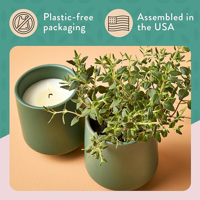 Modern Sprout Rooted Candle - 2 in 1 Tonka Bean Scented & Soy Candle with Seeds That Grows into Thyme Plant - 6 oz w/ 42 hr Burn time in Matte Glaze Ceramic Vessel Ideal for Indoor Herb Garden