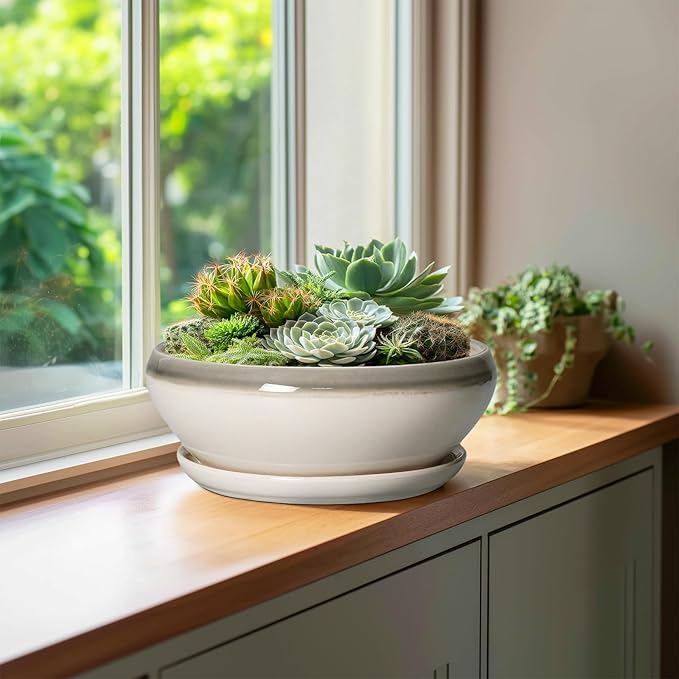 SQOWL Bonsai Pots Ceramic - 10 Inch Succulent Planters for Indoor Plants Outdoor, Shallow Round Planter with Drainage Hole and Saucer, Ceramic Planter Bowl, Office Decor, Gifts for Women, Gray-Beige