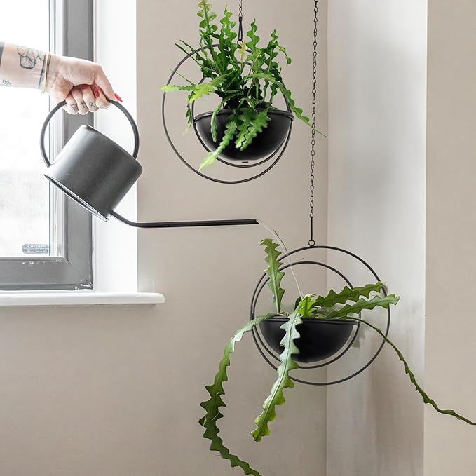 Hajia 2 Pack Moon Shaped Hanging Plant Holder with 8 Inch Detachable Pot, Black Metal Plant Hanger for Indoor Outdoor, Minimalist Hanging Planter for Wall Ceiling Decor.(with Drainage Holes)