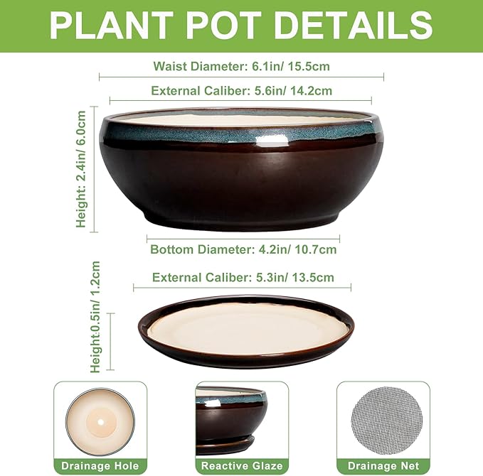 SQOWL Succulent Pots with Drainage Hole - 6 Inch Ceramic Bonsai Tree Pots, Shallow Planter with Saucer, Round Plant Pot for Succulent Indoor Outdoor, Porch Decor, Gifts for Plant Lover, Blue-Brown