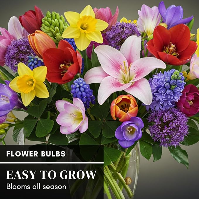 Complete Spring Flower Garden | 50 Fresh Bulbs | Bloom All Spring and Summer, Easy to Grow Flower Bulb, Indoor/Outdoor