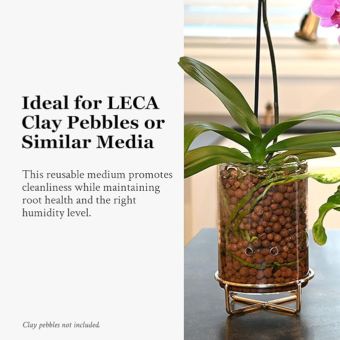 Pot & Pebble - C9 Glass Planter with Decorative Metal Base - Plant Propagation Station with Water Level Control - Plant Cutting Holder for LECA Clay Pebbles/Similar Media - Semi Hydroponic Planter