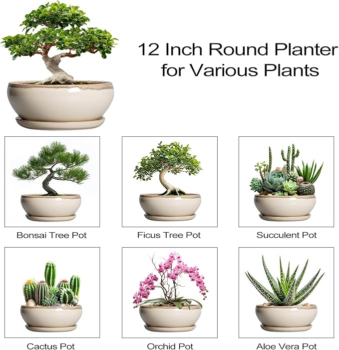 SQOWL Bonsai Pots 12 Inch - Large Ceramic Succulent Planters, Shallow Planter with Drainage Hole and Saucer, Round Bowl Planter for Indoor Outdoor Plants, Home Decor, Plant Lover Gifts, Beige