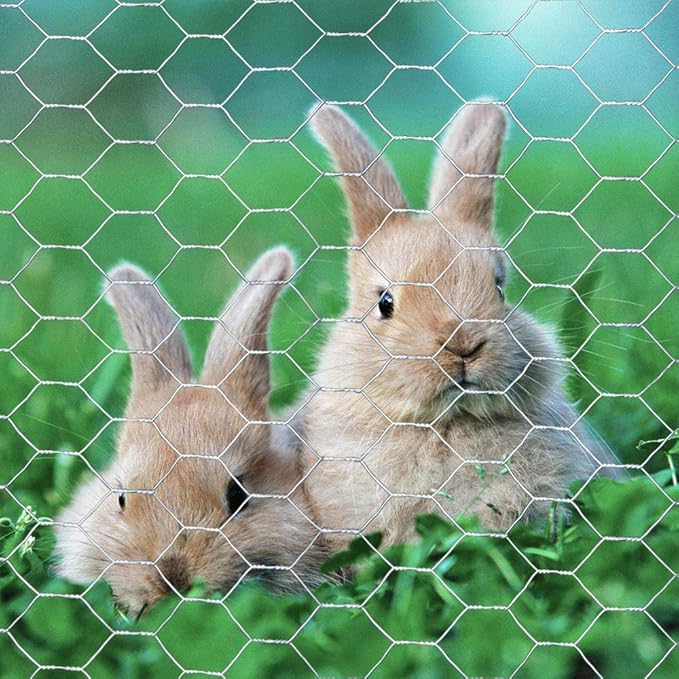 20GA Galvanized Hexagonal Poultry Netting Chicken Wire 24 inches x 50 feet x 1 inch Mesh
