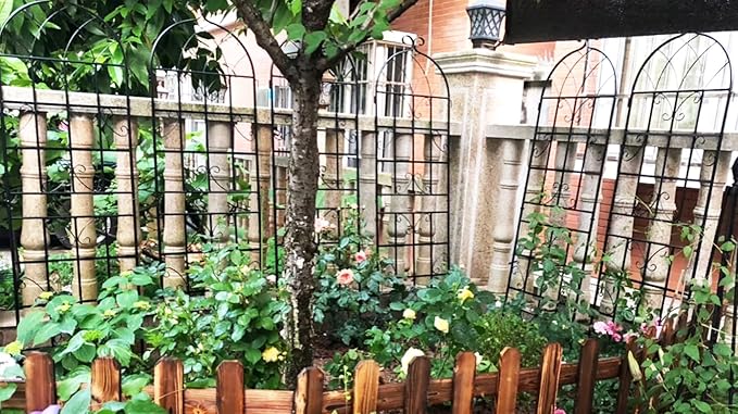 Metal Garden Trellis Garden Fence Rustproof Trellis for Climbing Plants Support Roses Flower Outdoor Lawn (6, Pattern-D)