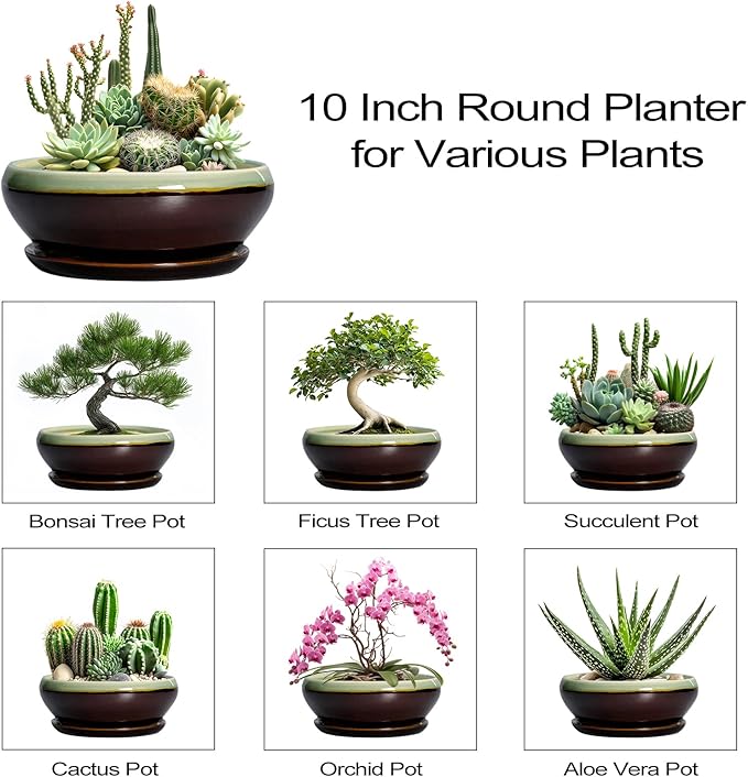 SQOWL Succulent Planters 10 Inch - Ceramic Bonsai Pots with Drainage Hole and Saucer, Shallow Indoor Planter, Round Succulent Pot, Bowl Planter Outdoor, Porch Decor, Gift for Plant Lover, Green-Brown