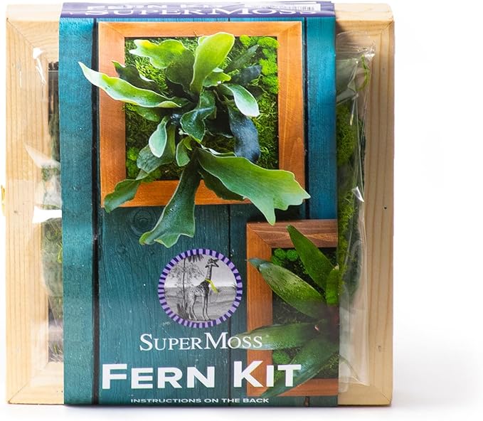 SuperMoss (90471) Mounted Fern Kit DIY - Create Your Own Living Wall Art, Customizable Wooden Frame with Moss, Ideal for Indoor & Outdoor Plant Decor, Kitchen, Balcony, & Home Office, 6” x 6”, Natural