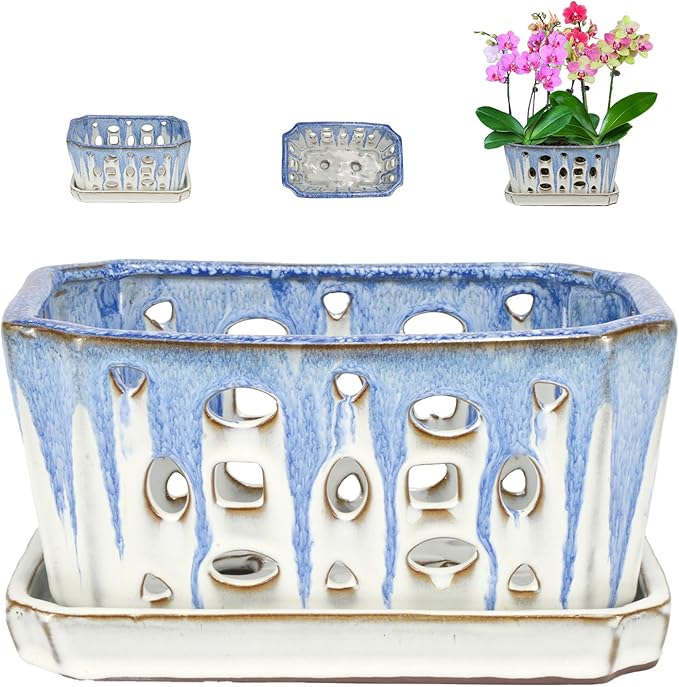 W&W Orchid Pot with Holes, Garden Pot for Orchid, Plant and Flower Pots Indoor Outdoor,Blue and White,9 Inches