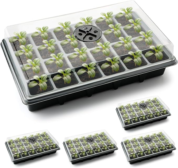 24XL Cell Seed Starter Tray with Dome-5 Pack 2'' Plug Seedling Trays(total 120 cells), Plant Germination Tray with Humidity Vented Lid and Base, Mini Propagator Plant Greenhouse for Seed Growing