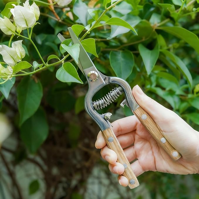 2 Pack Garden Pruning Shears, Heavy Duty Garden Scissors & Clippers for Wood & Tree Trimming, Safety Lock, for Cutting Flowers, Trimming Plants, Picking Fruits (Gold)