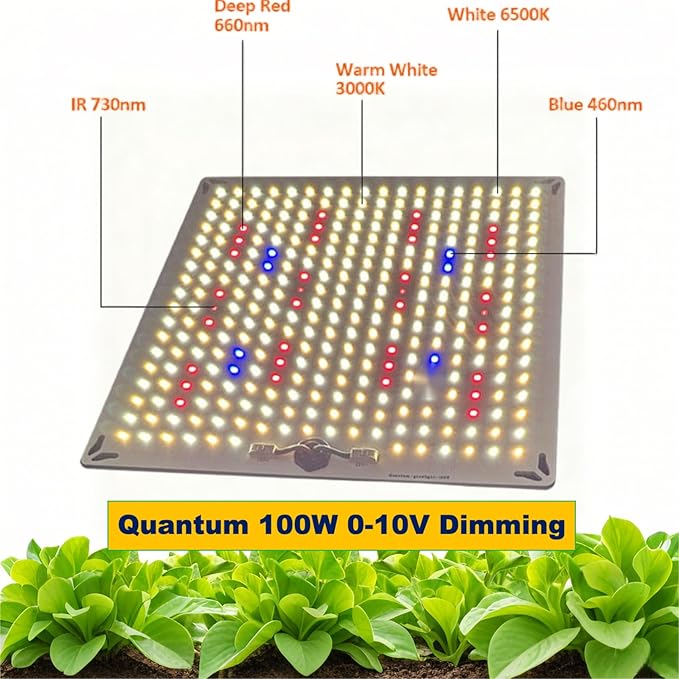 LED Grow Light Panel for Indoor Plants 100W Full Spectrum with White Blue Red UV IR LEDs for 4x4ft Coverage Grow Tent Greenhouse Veg and Bloom Seedlings Hydroponic