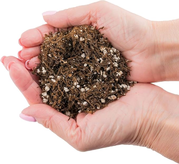 Gardenera Fern + Perlite Soil Mix for Repotting and Planting Succulents and Cactuses - 5 Quart Bag