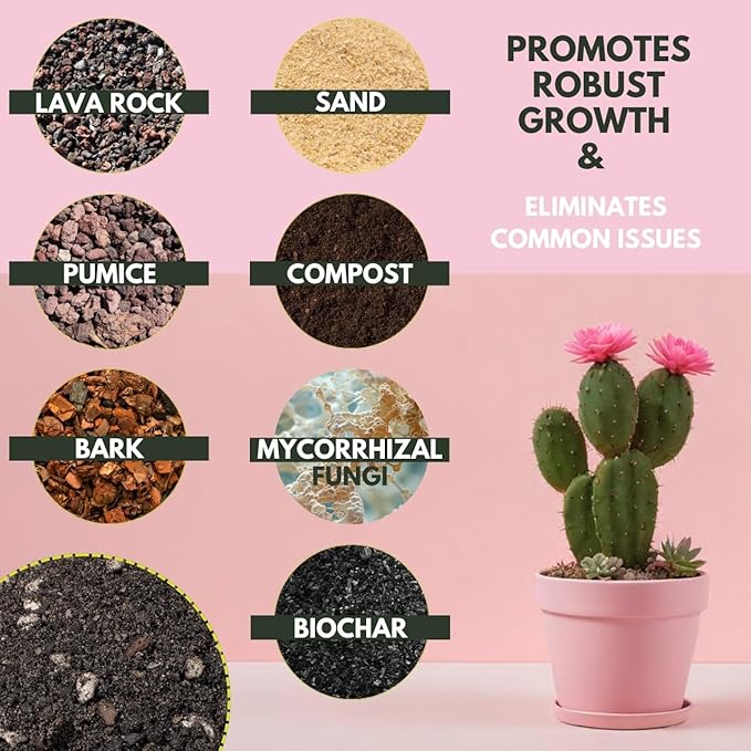 Soil Sage Cactus & Succulent Potting Mix 2.5Qt - Premium Fast Draining Soil for Indoor Plants and Aloe Vera - High Drainage Blend for Healthy Roots and Growth - Made in USA (Cactus / 2.5 QT)