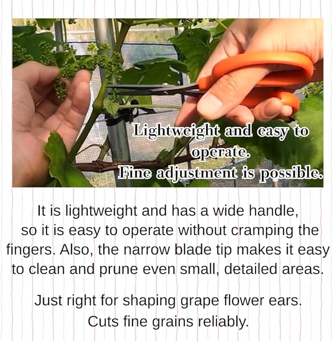 CHIKAMASA B-500SF Japanese Gardening Shears (2-Pack) with a Bonus Microfiber Cleaning Cloth - Fluorine Coated Stainless Steel Precision Trimmers for Grapes, Herbs, and Bonsai