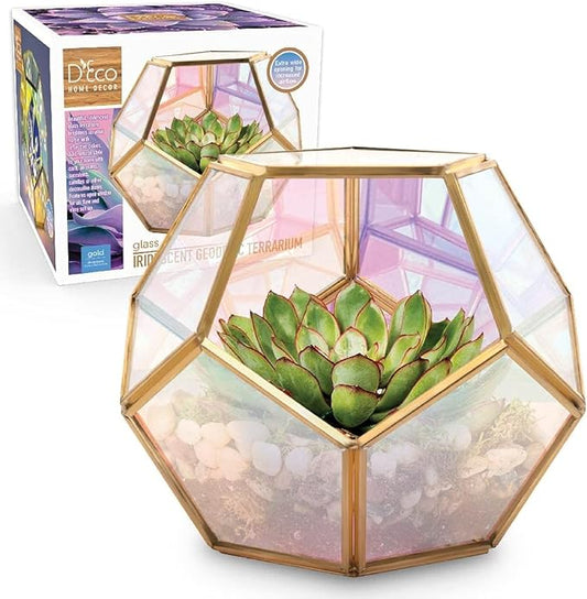 D'Eco Iridescent Glass Centerpiece (7x7x6) - Tabletop Planter Terrarium for Home & Wedding Decor - Fill with Succulents, Moss, Holiday Decorations, Mini Trees & Ornaments - Xmas Gift for Plant Lovers