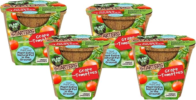 Plant-It Starters Plant Seeds 4-Pack, DIY Indoor Succulents and Live Plants for Home or Garden Planting, Grape Tomato