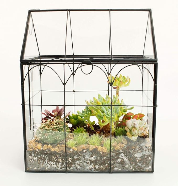 ELEGANTLIFE Glass Geometric Plant Terrarium,Succulent & Air Planter for Home Garden Office Decoration (Black House)