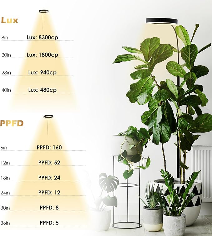 GLOWRIUM Grow Lights for Indoor Plants, Full Spectrum LED Grow Light Floor Lamp with Stand Adjustable Height and Angle, Black Plant Light with 3/9/12H Grow Light Timer (Black, 20W)