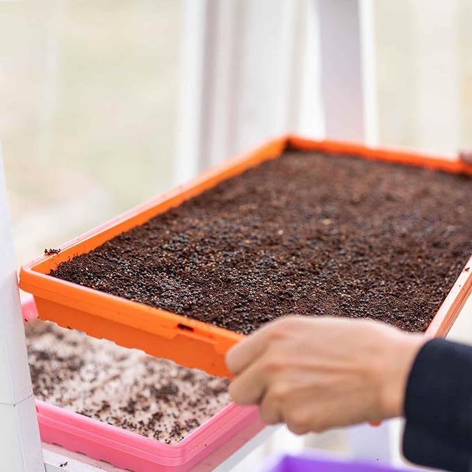 Bootstrap Farmer Microgreen 1020 Trays, Pink 10 Pack, Extra Strength with Holes Shallow Seed Plant Tray Grow Microgreens Wheatgrass Fodder Sprouting