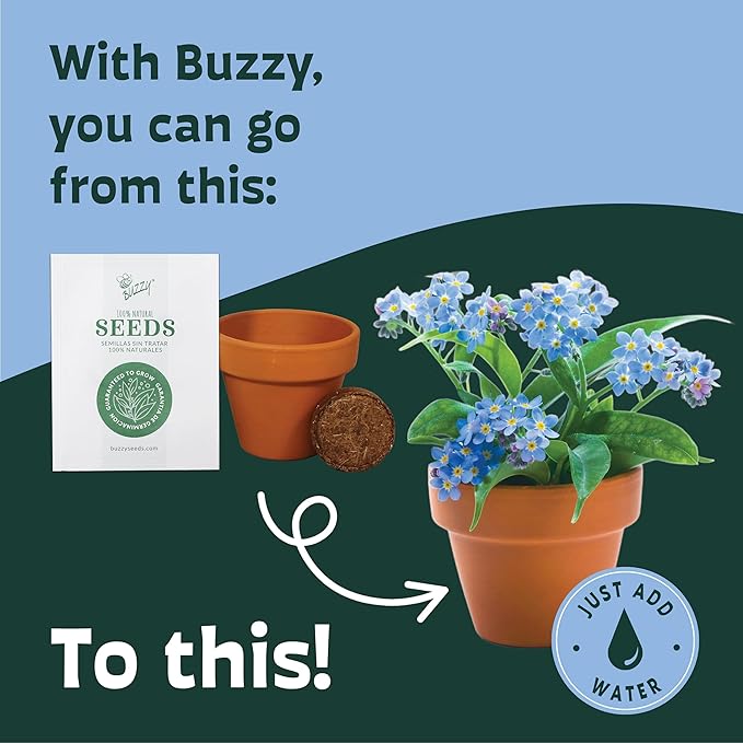 BUZZY Seeds Forget Me Not Flower Grow Kit Bulk 20pk Mini Terracotta Pots Gardening Starter Set, Wedding Favors, Shower Prizes, Garden Parties